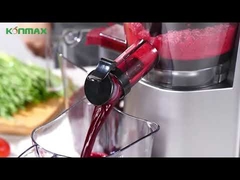 Power Fruit Juice Extractor SS304 Vertical Type For Home