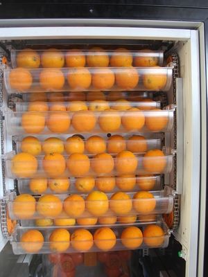 Автоматический коммерчески автомат апельсинового сока свежих фруктов с Нфк, малошумным